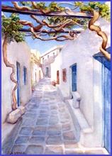 Grapevines