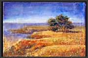 Coastal I_sm