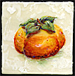 Persimmon3_sm