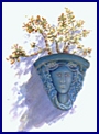 Cactus Goddess_sm