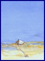 Stillness #2_sm.jpg